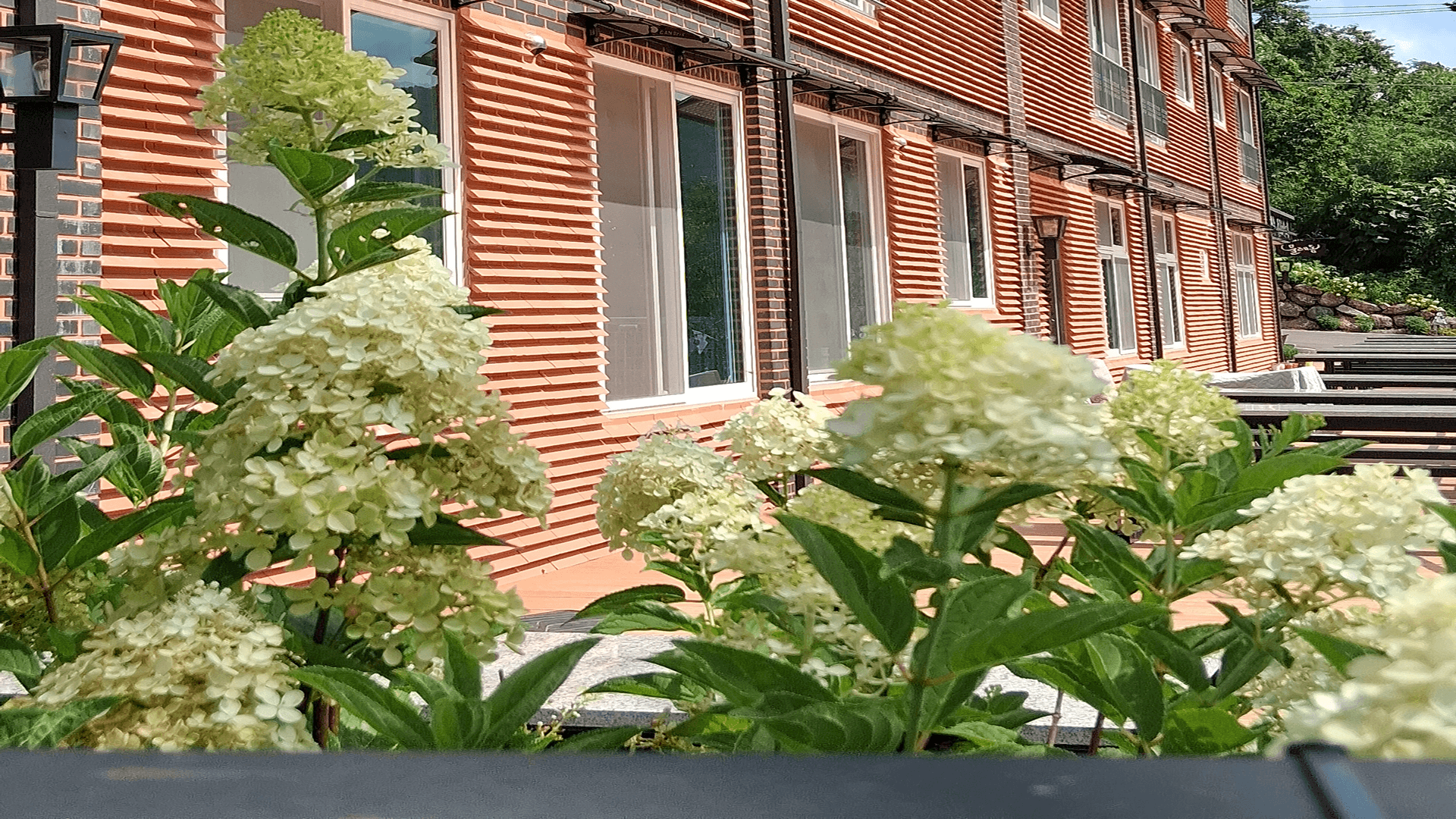 지리산의 자연과 함께하는 치유